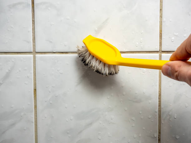 Best Water Damage Restoration  in Hawthorne, CA
