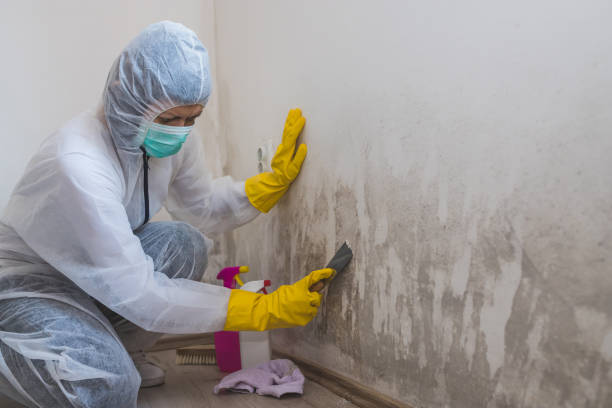 Best Mold Testing  in Hawthorne, CA