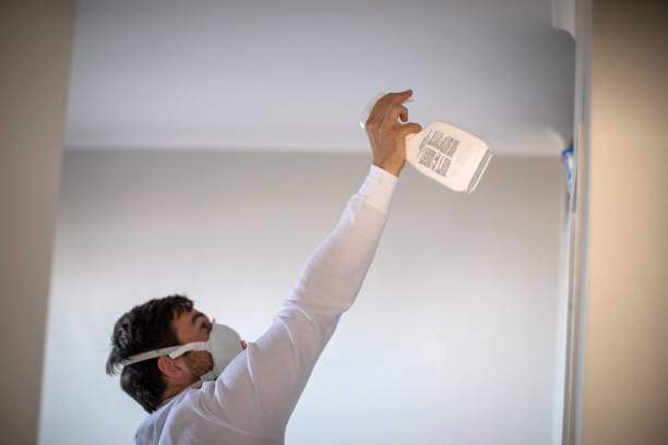 Best Mold Remediation Services  in Hawthorne, CA