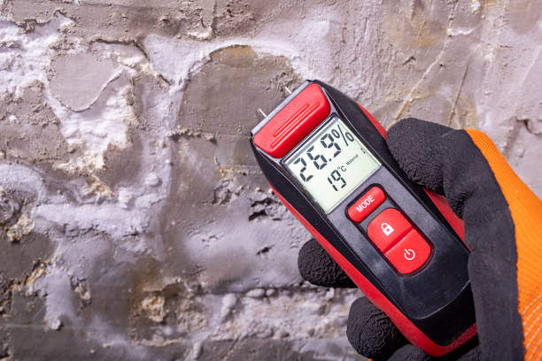 Best Mold Testing  in Hawthorne, CA